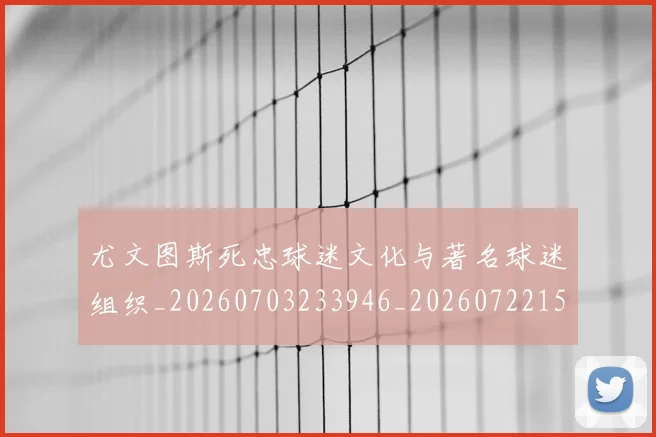 尤文图斯死忠球迷文化与著名球迷组织_20260703233946_20260722151608