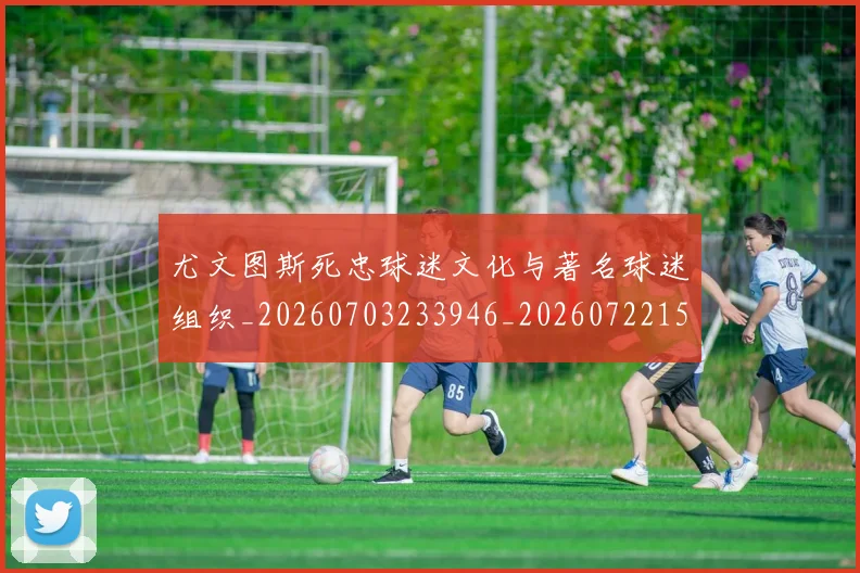 尤文图斯死忠球迷文化与著名球迷组织_20260703233946_20260722151608